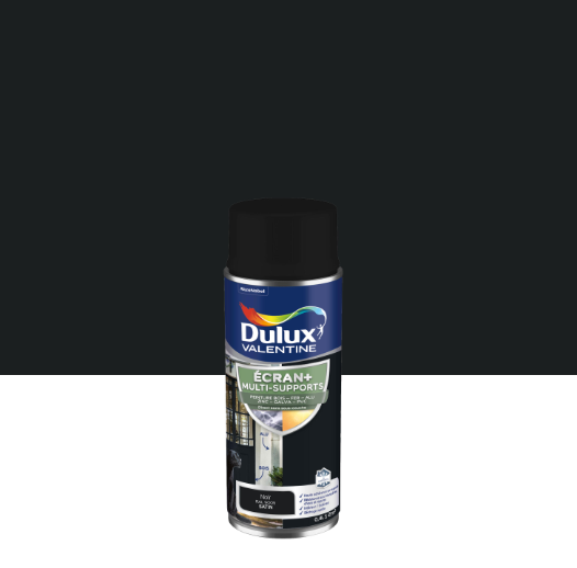 Peinture extérieure bois, fer Ecran + DULUX VALENTINE noir satiné 0.4l