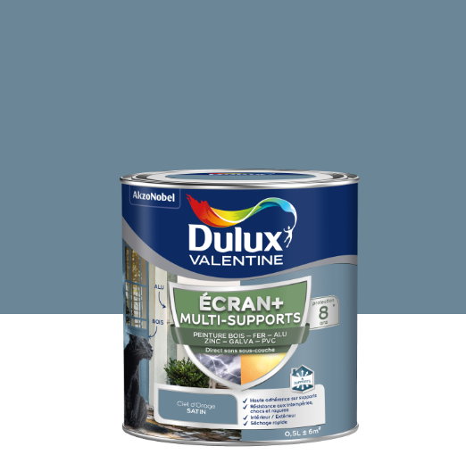 Peinture extérieure bois, fer Ecran+ DULUX VALENTINE ciel d'orage satiné 0.5l